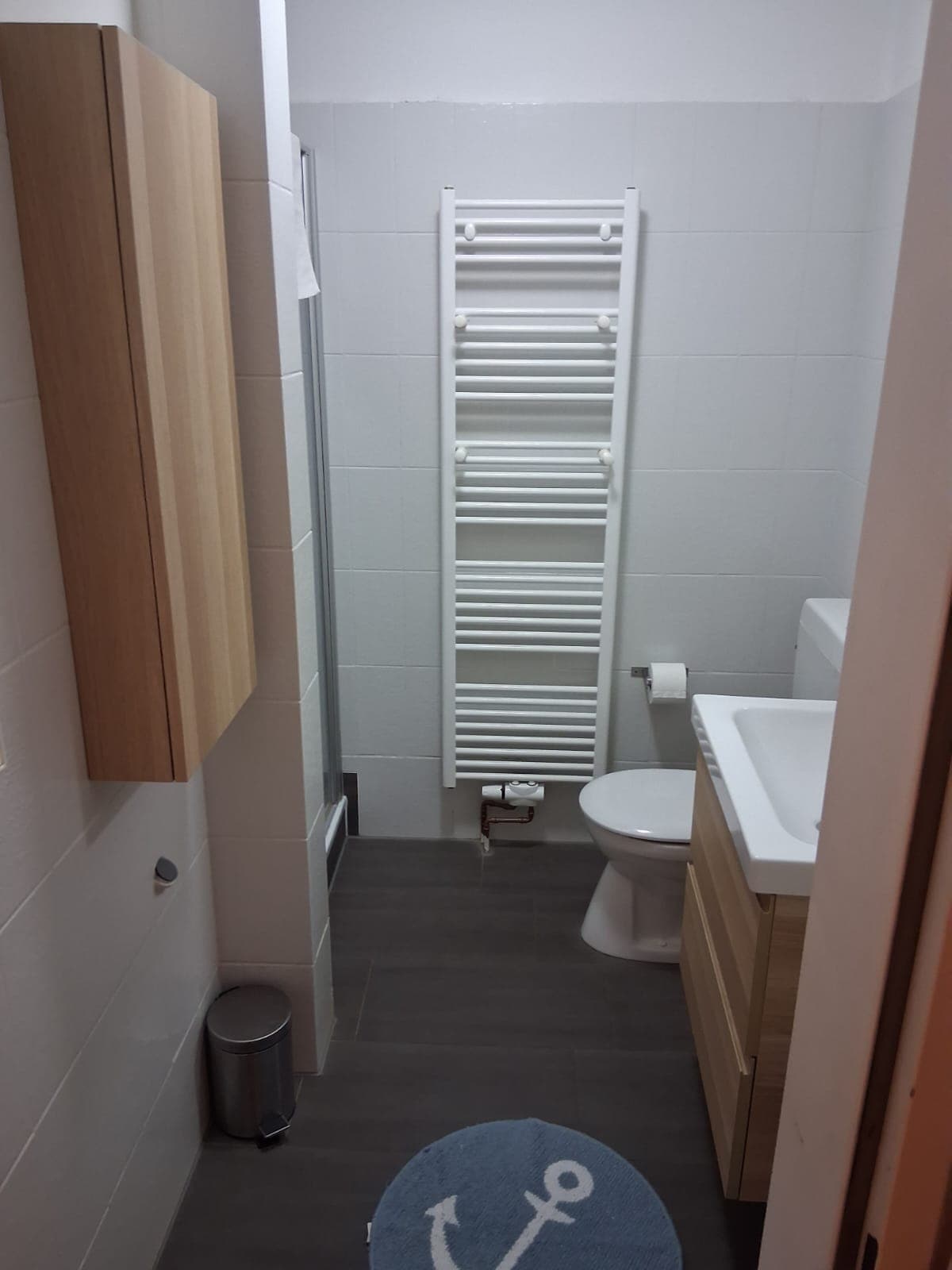 Bad mit Dusche, WC, Waschbecken und Handtuchheizkörper