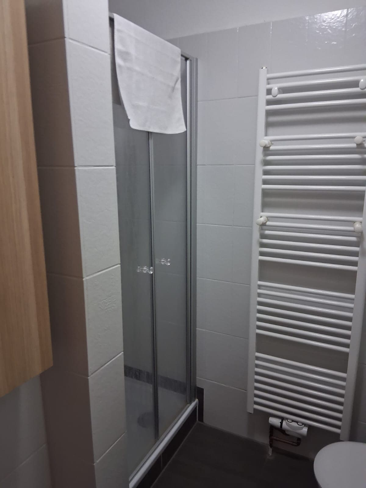 Dusche mit Handtuchheizkörper